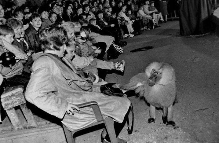 Photo of the Day