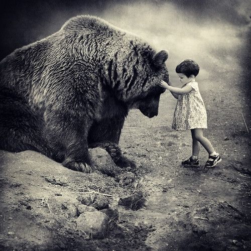 Photo of the Day
