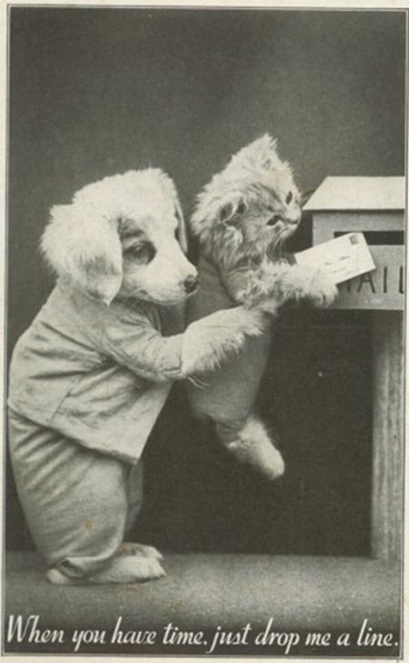 Photo of the Day