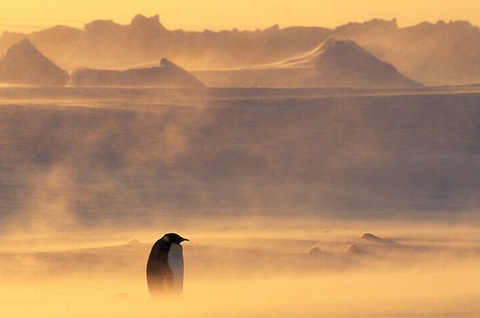 Photo of the Day