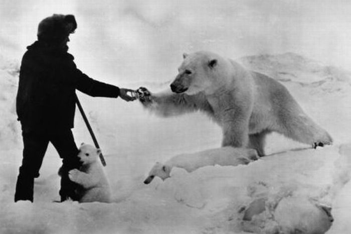 Photo of the Day