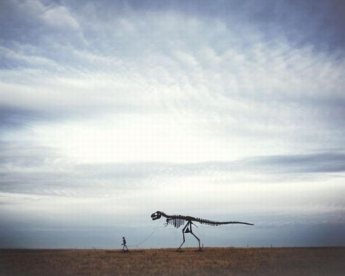 Photo of the Day