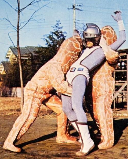 Photo of the Day