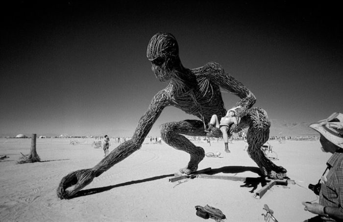 Photo of the Day