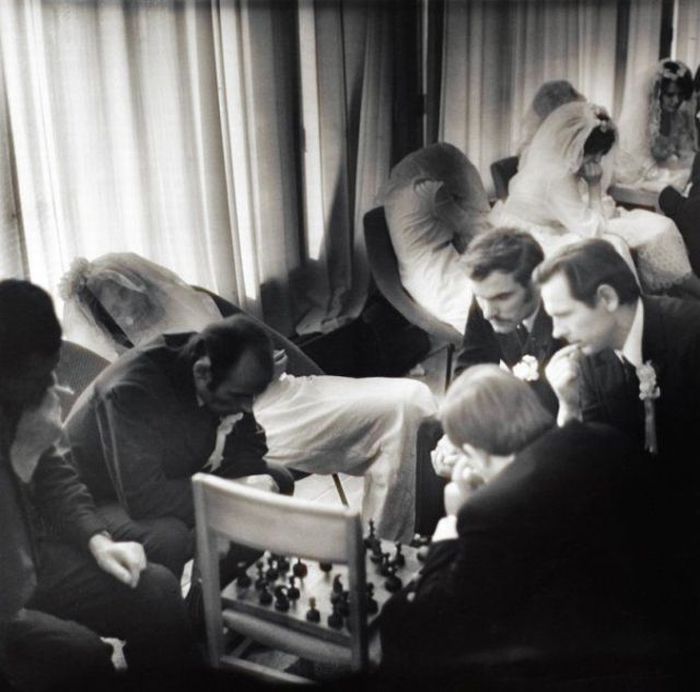 Photo of the Day