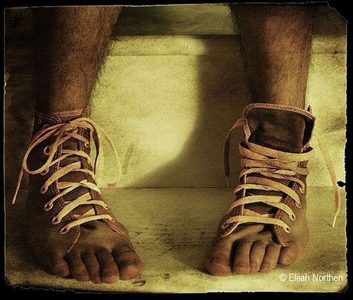Photo of the Day