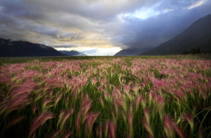 Alaska Storm Clouds Clearing