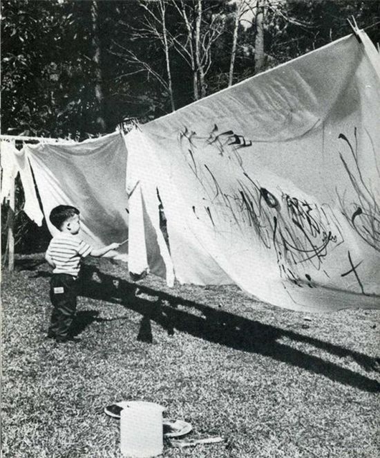 Photo of the Day