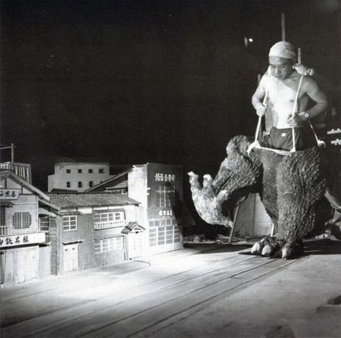 Photo of the Day