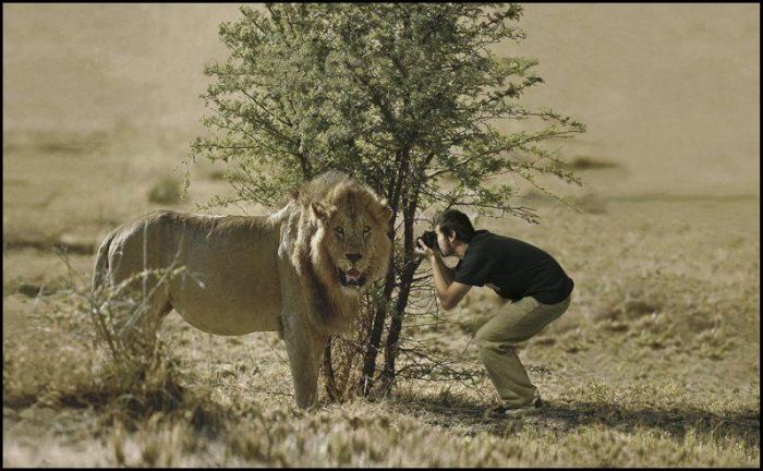 Photo of the Day