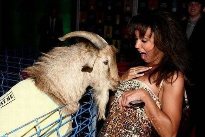 Photo of the Day