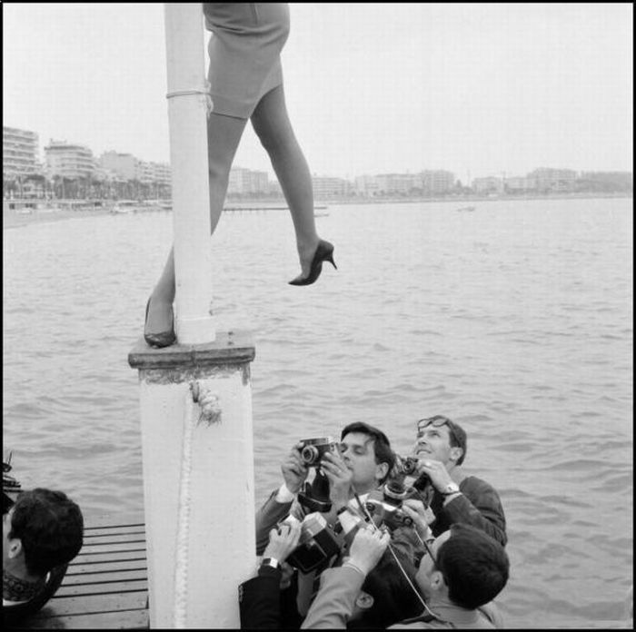 Photo of the Day