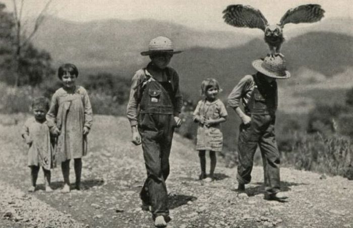 Photo of the Day