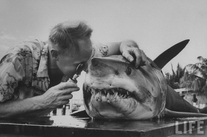 Photo of the Day