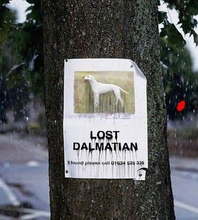 Sign found