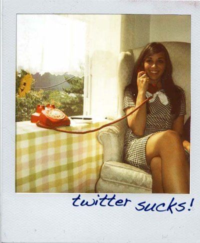 Photo of the Day