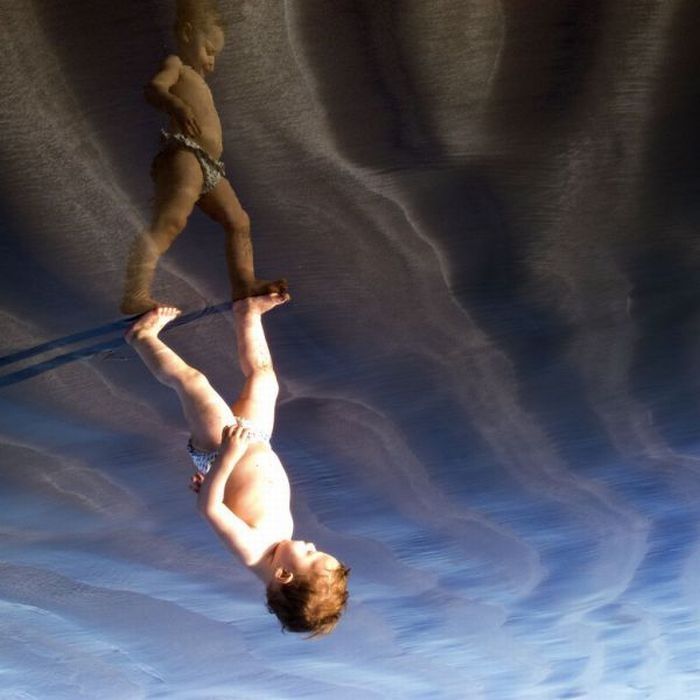 Photo of the Day