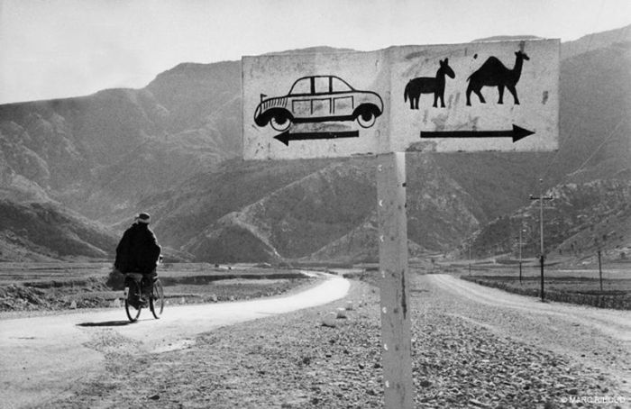 Photo of the Day