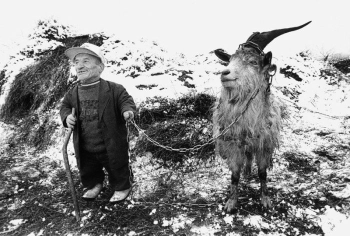 Photo of the Day