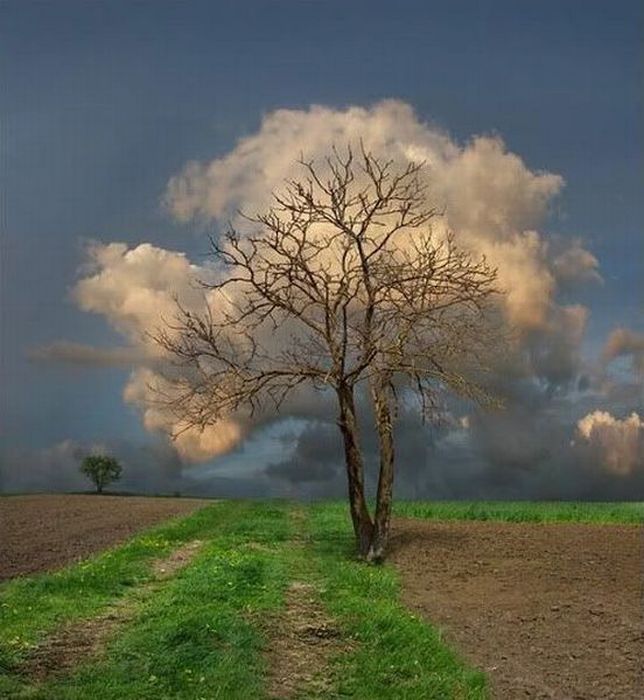 Photo of the Day