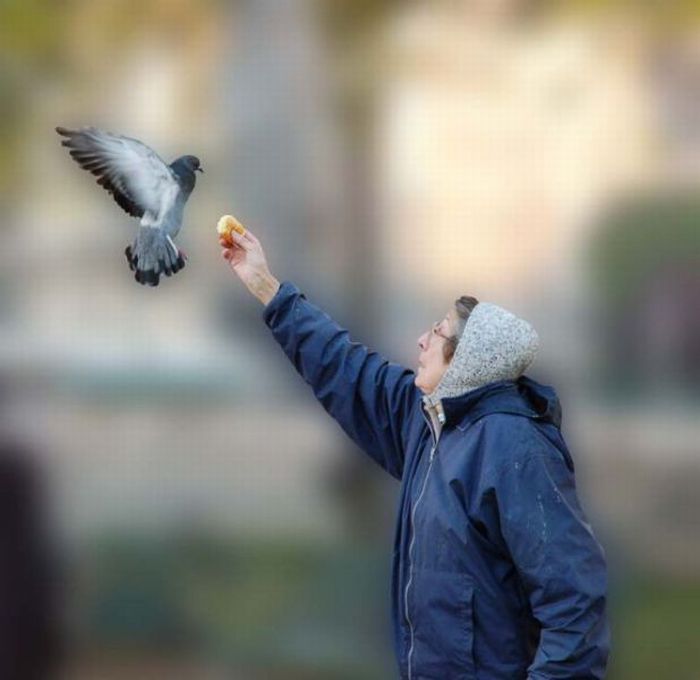 Photo of the Day