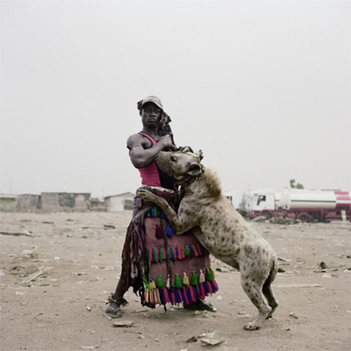 Photo of the Day