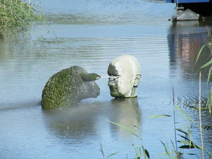 Photo of the Day