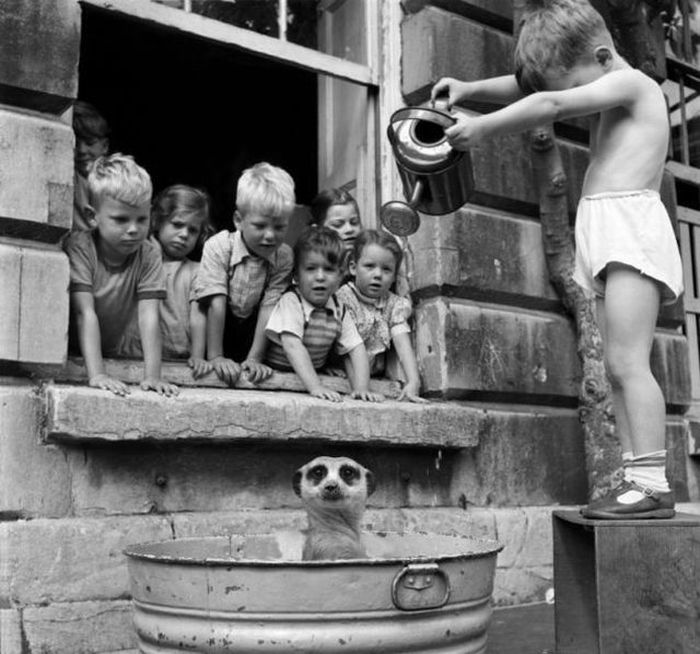 Photo of the Day