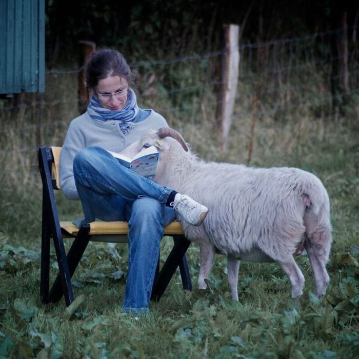 Photo of the Day