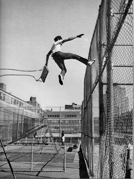 Photo of the Day