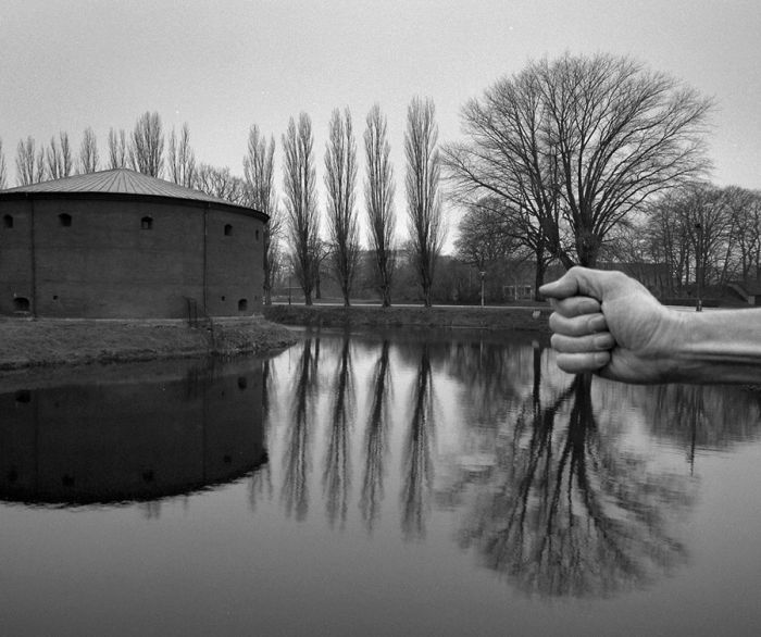 Photo of the Day