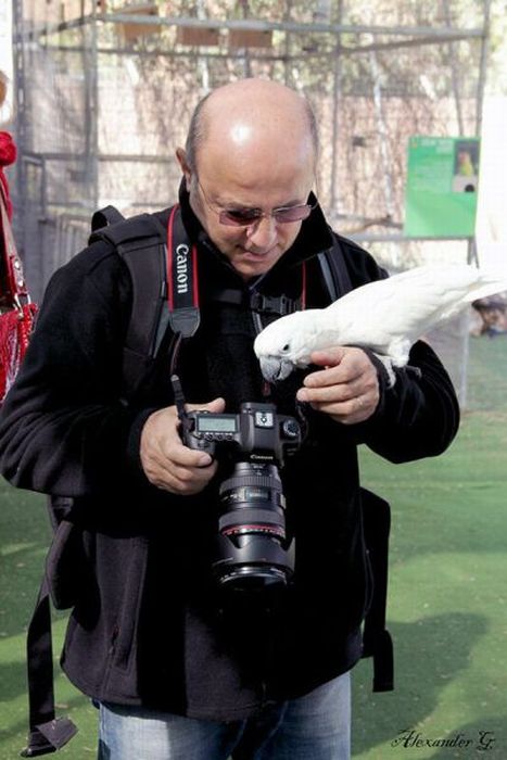 Photo of the Day