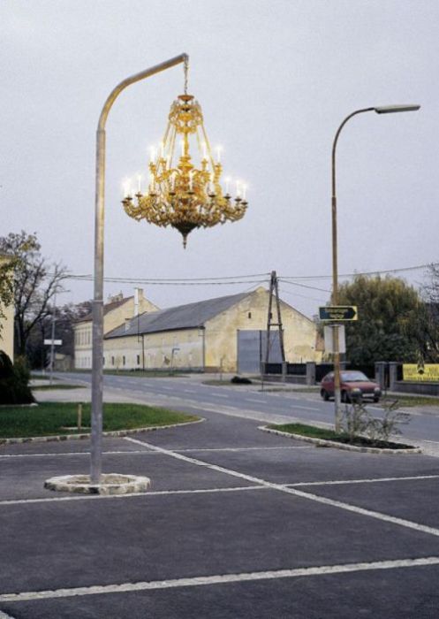 Photo of the Day