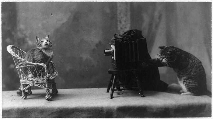 Photo of the Day