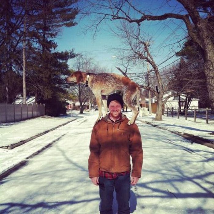 Photo of the Day
