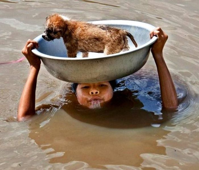 Photo of the Day