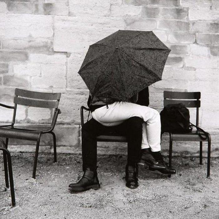 Photo of the Day