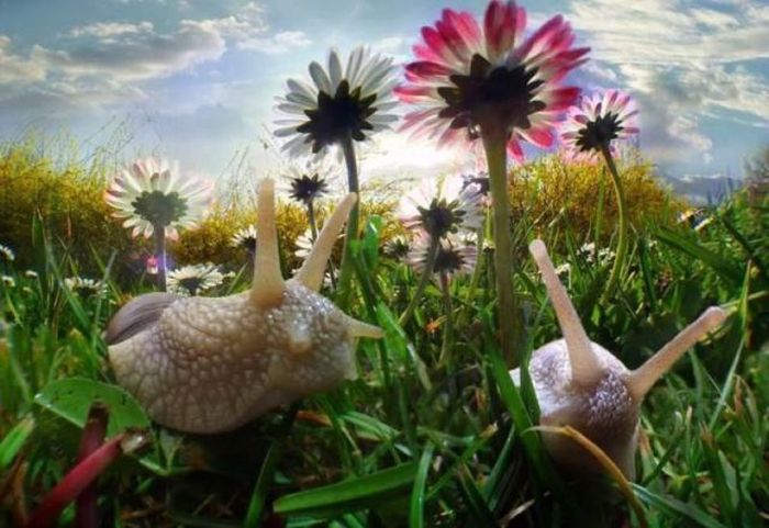 Photo of the Day