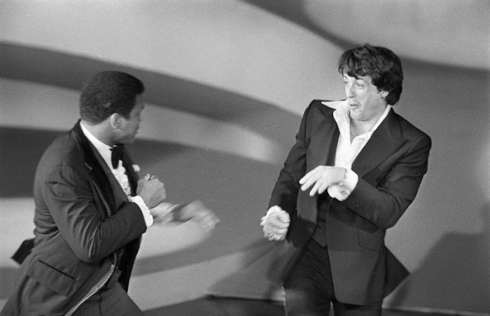 Photo of the Day