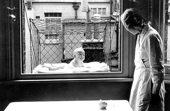 Photo of the Day