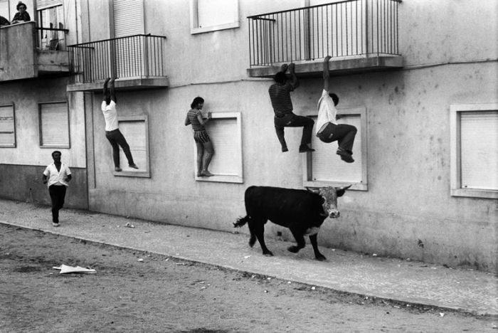Photo of the Day