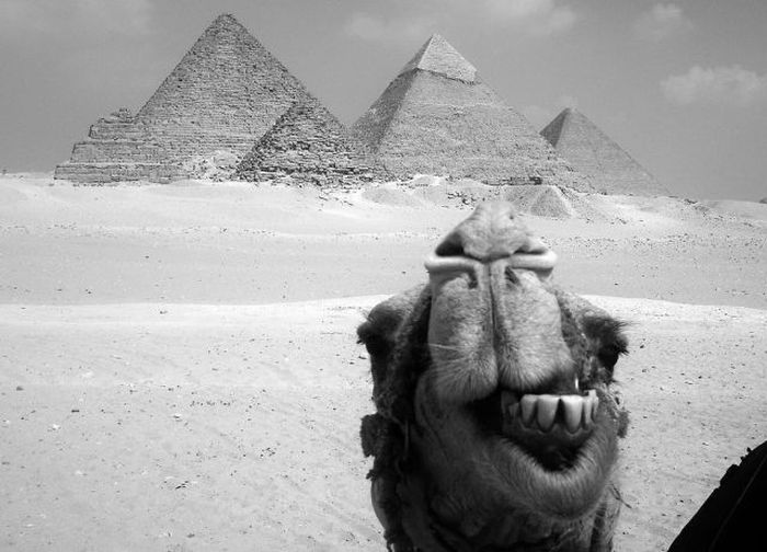 Photo of the Day