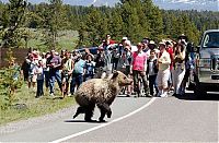 Pictures of the Day: 