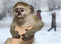 Pictures of the Day: 