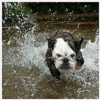 Pictures of the Day: 