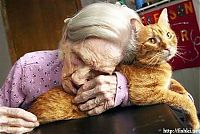 Pictures of the Day: 