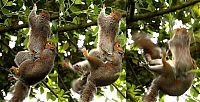 Pictures of the Day: 