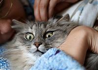 Pictures of the Day: 