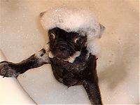 Pictures of the Day: 