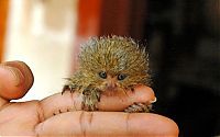 Pictures of the Day: 